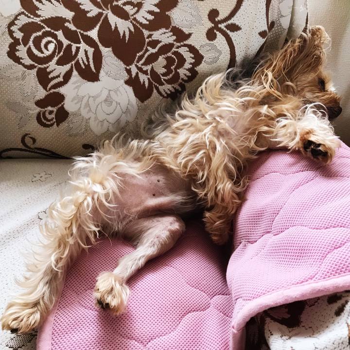 Decbbead d06d 4345 a376 b606d4c87b21 1534319542991