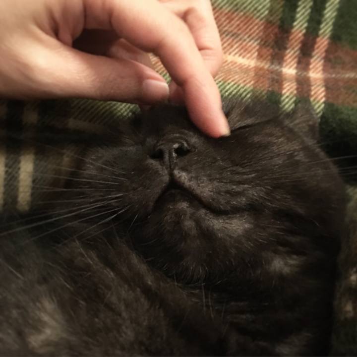 Decbcc83 2b00 45ef 8c22 285b9ef727e0 1538135403557