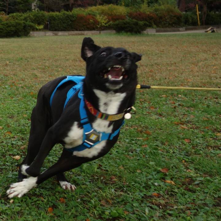 Decbed64 373a 48a8 835d ce482d891f5a 1604188564349