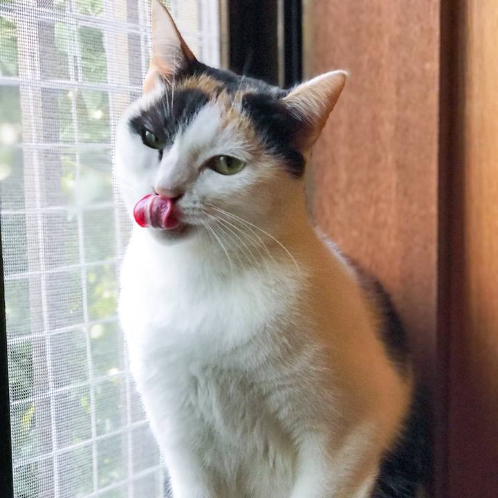 Decbf66a b46a 4c0f 8df8 0a3ce6560cd4 1509455968659