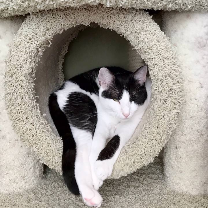 Decbf680 ede7 45c8 92f9 6001d0d149a9 1535678116345