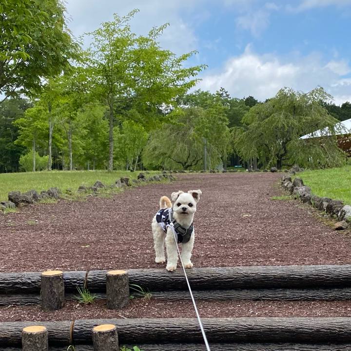 Decc085a 8fb9 422c ba61 441a3c52d3a4 1621866547949