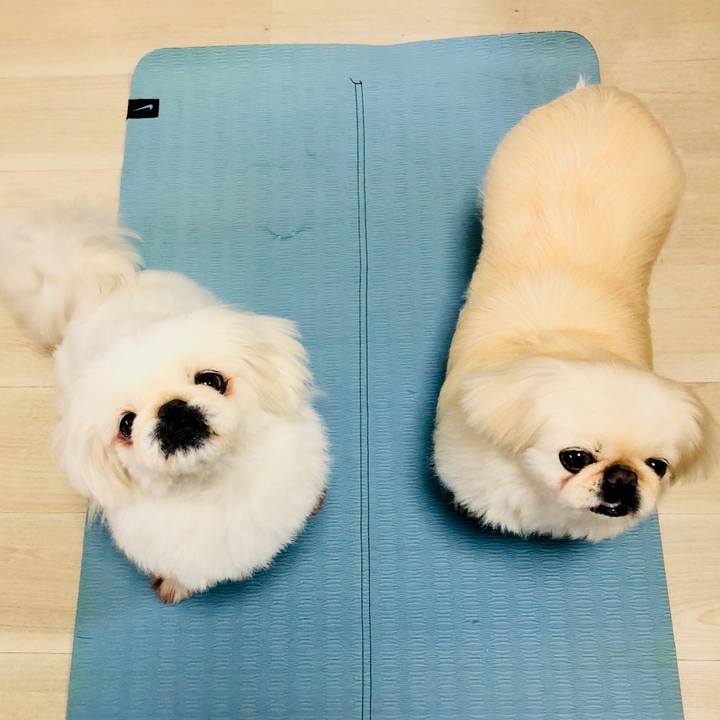 Decc0e9f 163b 47ef bccf ed0bae90519c 1588568019322