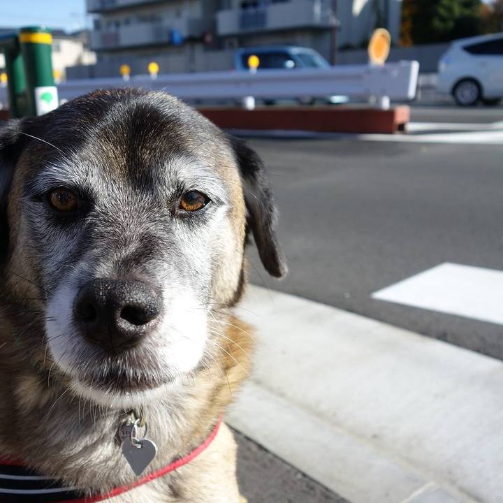 Decc2c54 46ae 4c00 bc7e 057511c62a4e 1509674325855