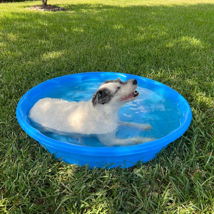 Decc5088 53ef 452a af57 5ad21cd1e228 1689459726451