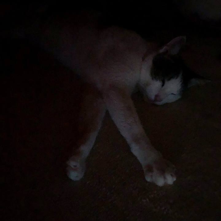 Decc57a4 590e 4827 b492 2f4f7492d1a7 1680098309057