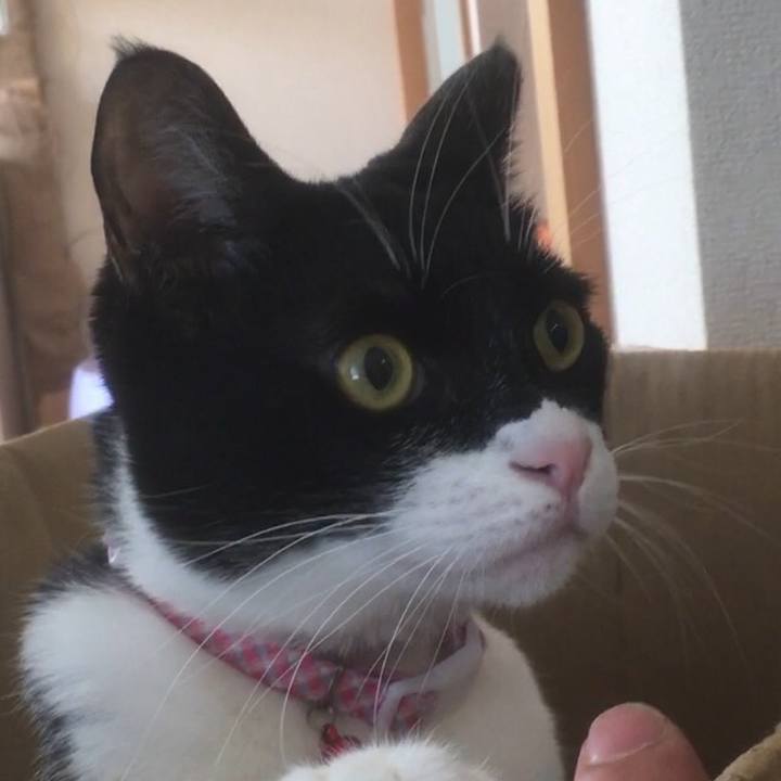 Decc9734 b5b4 4c31 99a2 97e939adbaba 1582382699112