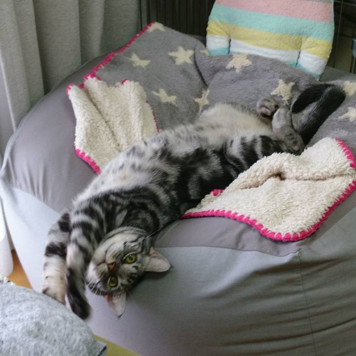 Decc9f7b bb10 4b98 80e0 c33eb708d7e9 1510485870686