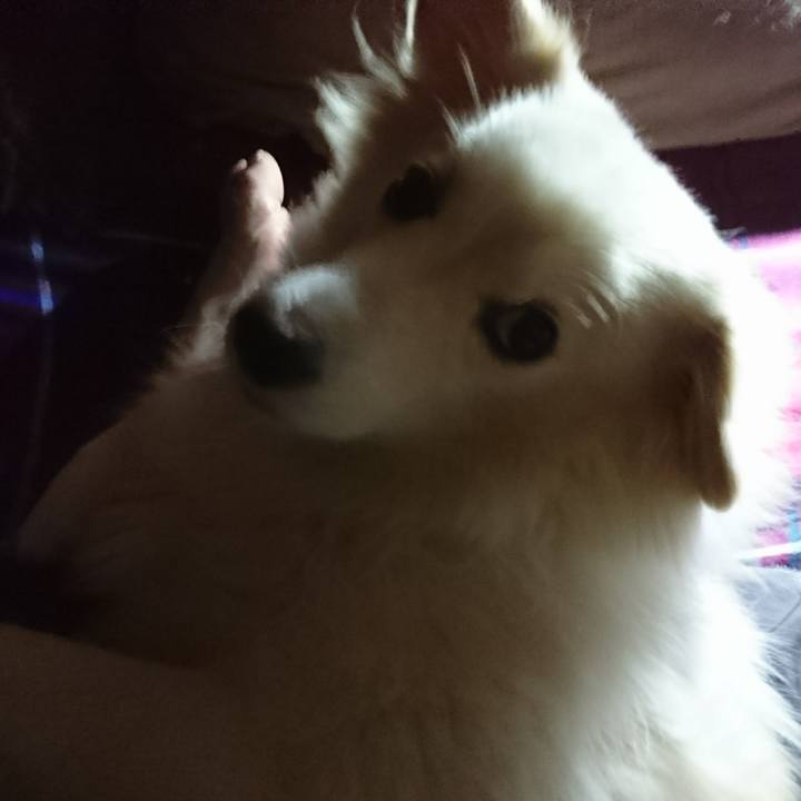 Deccd3a1 030a 42ed b143 8cf125dc5b2d 1513198068104