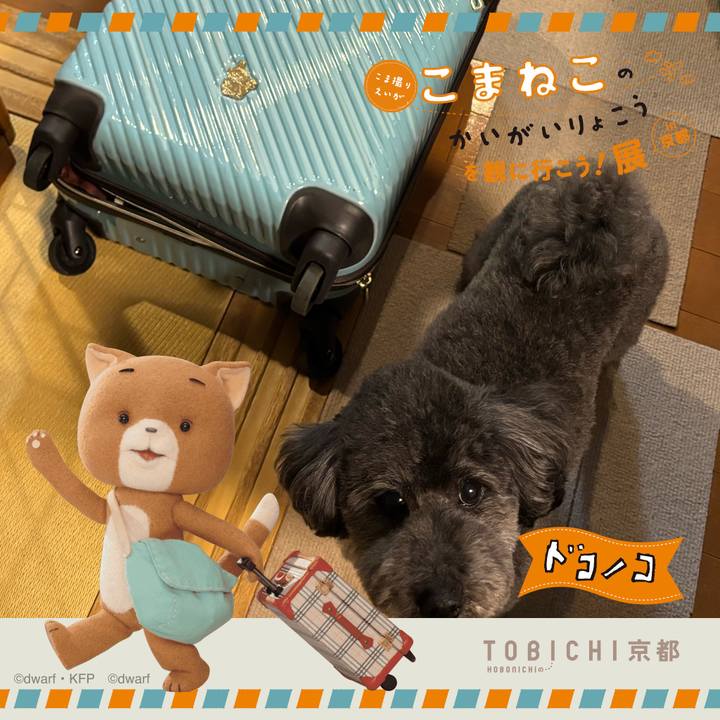 Decd05c7 57b1 4894 b9e0 030caacb9644 1740656138953