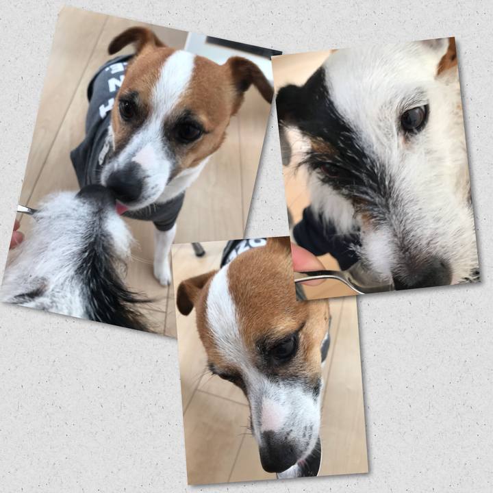 Decd27c3 ef84 4661 9470 dabb58d72fed 1524092018586