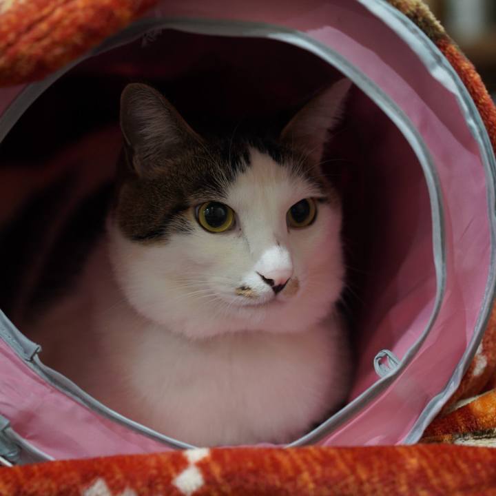 Decd3049 2a42 45ce b30a 6db23231af1e 1580291465651