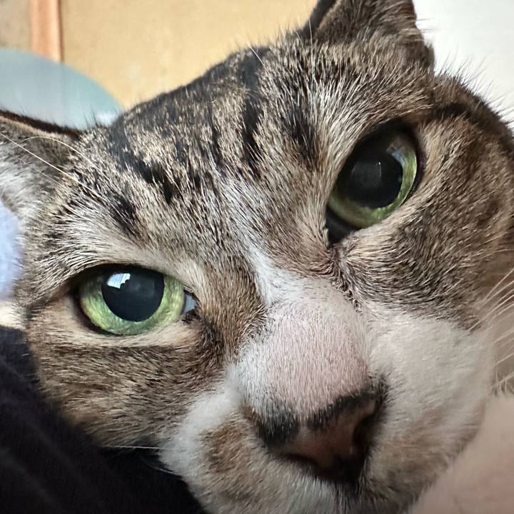 Decd8fba c970 43d8 a085 fd4ca465858b 1665798013658