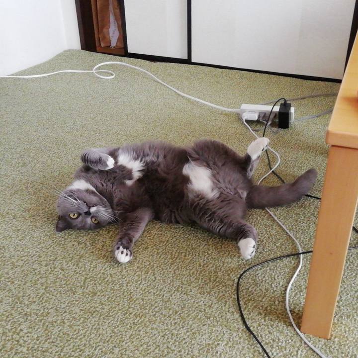 Decda93c d321 4c27 8539 c4a55606e70d 1714955560935