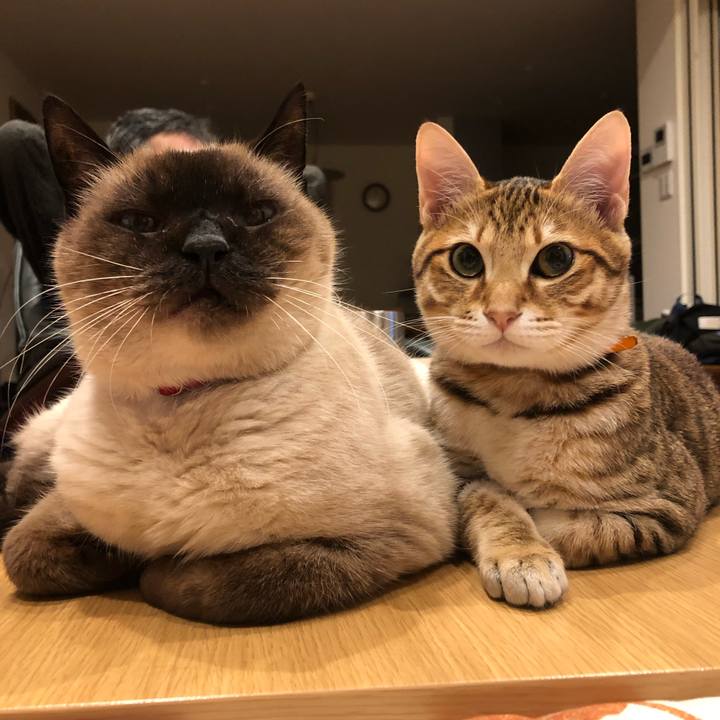 Decddc9d 9b07 4035 b57f ab175c6b266d 1550043128309