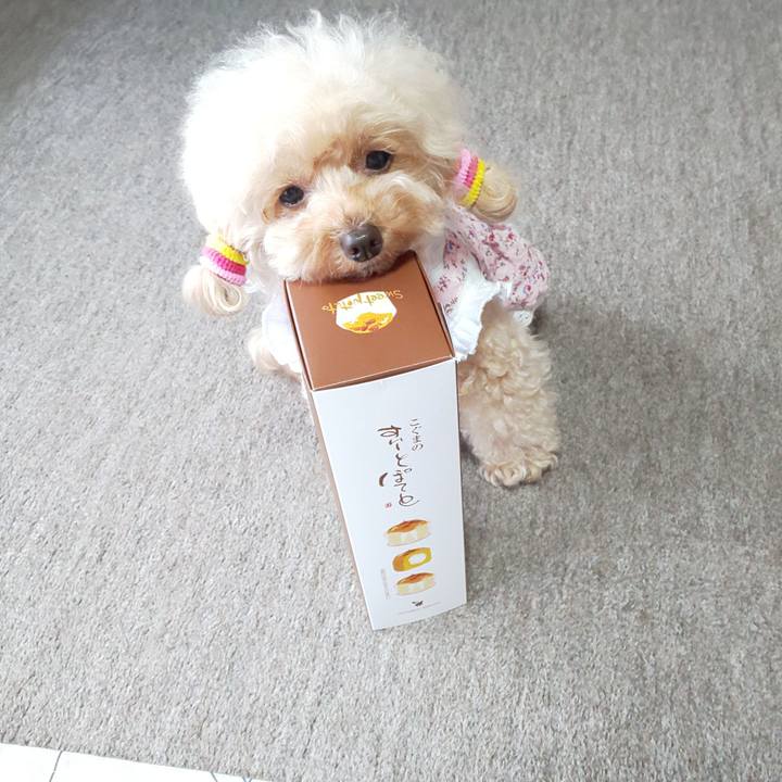 Dece1804 84a9 47f0 ae37 fc7328a2d1e4 1570191636760