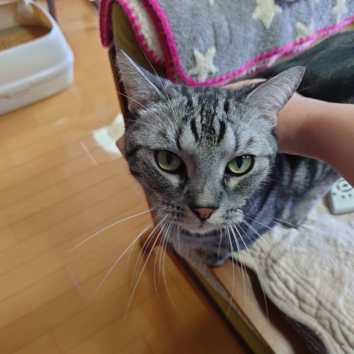 Dece4dbc f535 4d7b 9fc4 f55d28357cc6 1618369683029