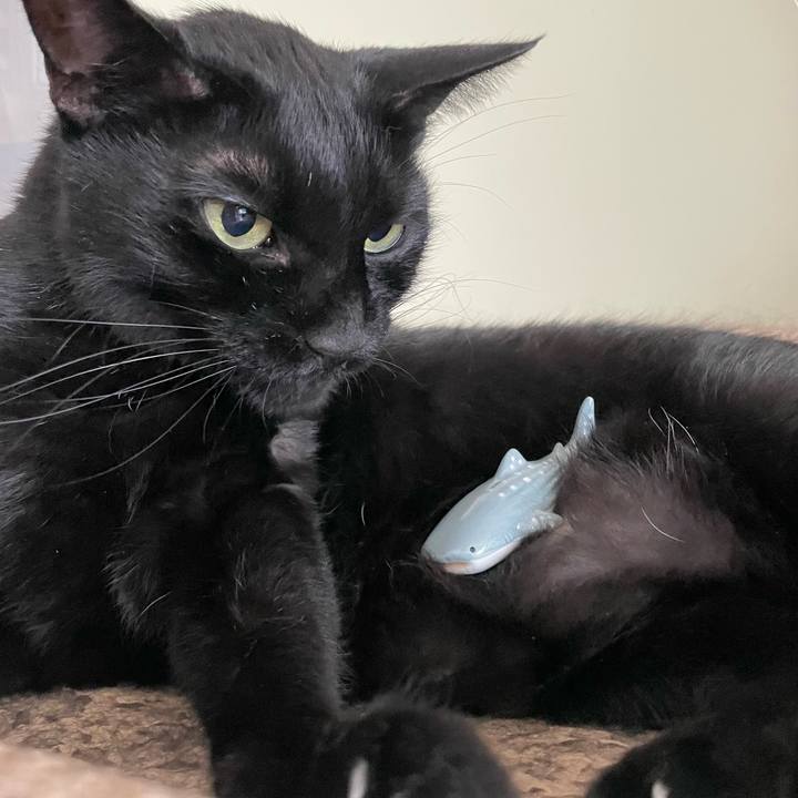 Dece6e15 92f2 4370 be0a 84d05bdc7314 1692791606939