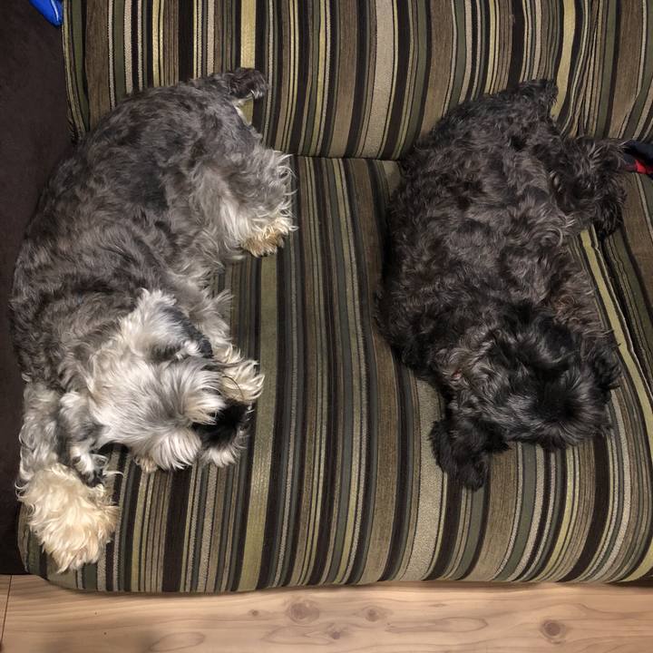 Dece71ac 1f86 458f 8a88 1d78774c4ade 1535372776057