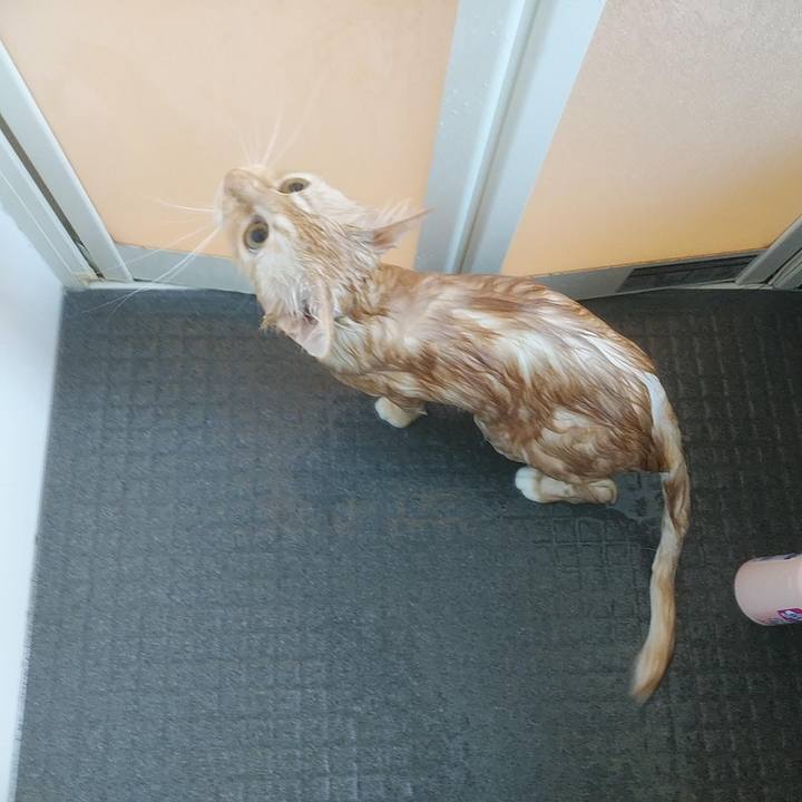 Decea4fd 1546 4cc2 bbe7 042063bf95e0 1638677670858