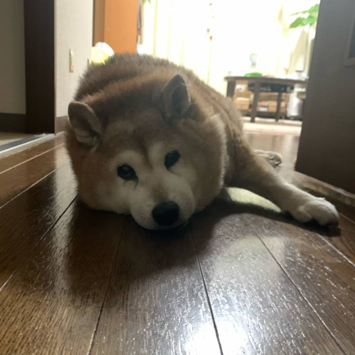 Decef601 7b5c 4da3 aacd 8beb2888af16 1617196072676