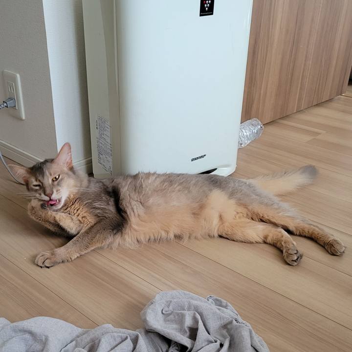 Decefcd1 3cd8 4fdf 9cbc 7a08fb50cdee 1661169329776