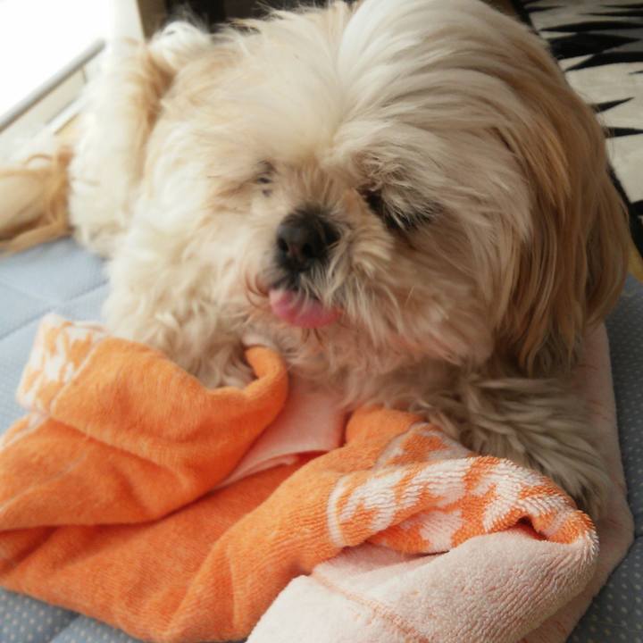 Decf2037 709a 43eb 94c3 5360a085feda 1522812761865