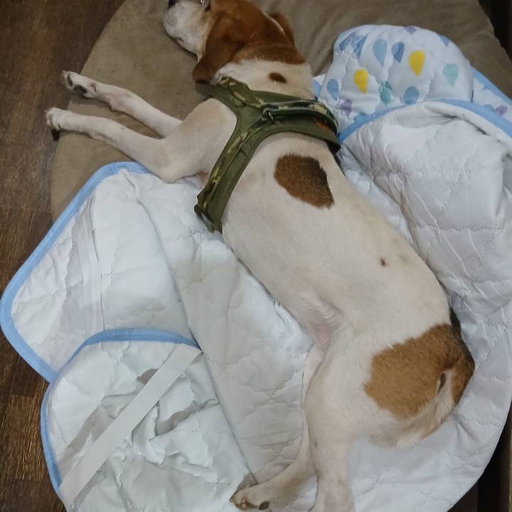 Decf44ba 51ed 4629 8ae7 2be54c75d705 1750508163181