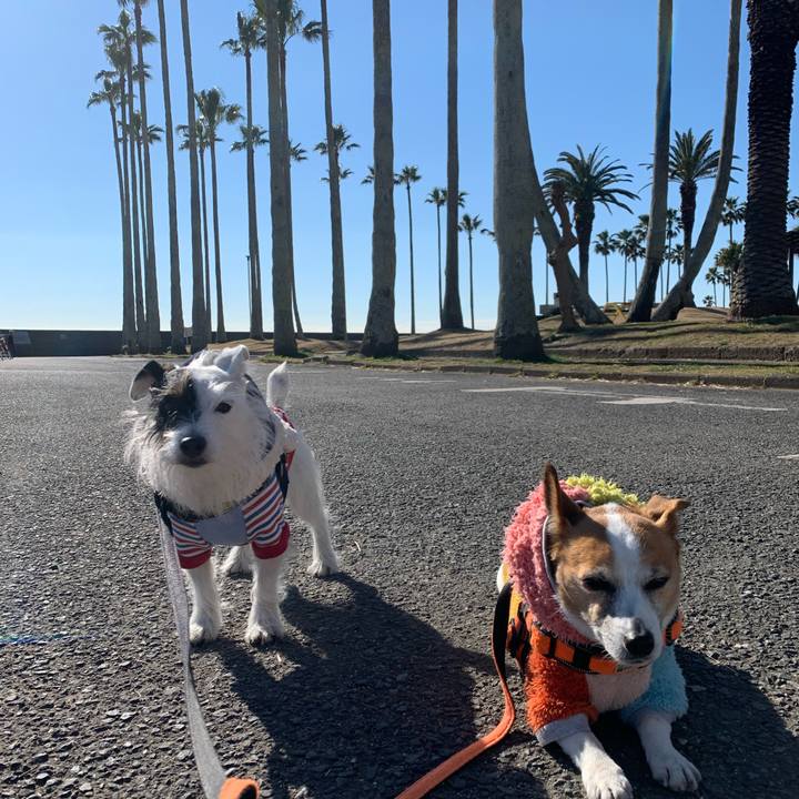 Decf9004 39d7 4e66 a430 77b3981a05bd 1642817062539