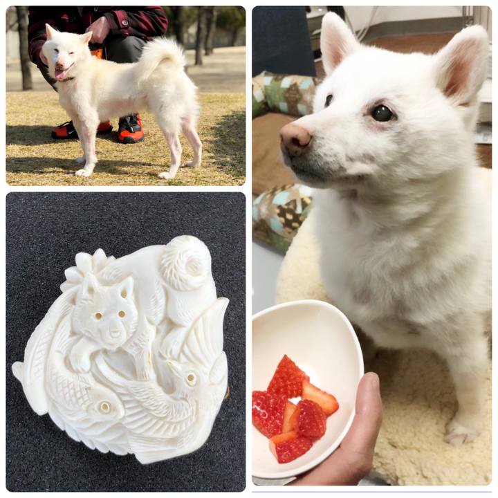 Decfb255 e36d 47cd a0d3 551cf020cb90 1670593064602