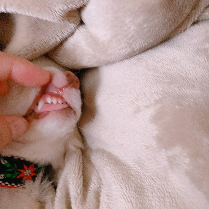 Decfd43c cd31 4157 8ae9 633e30c3553d 1628989362848