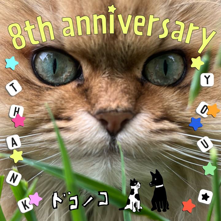 Decff38e 3ed6 4290 98fa 68ee5f715f01 1717838208424