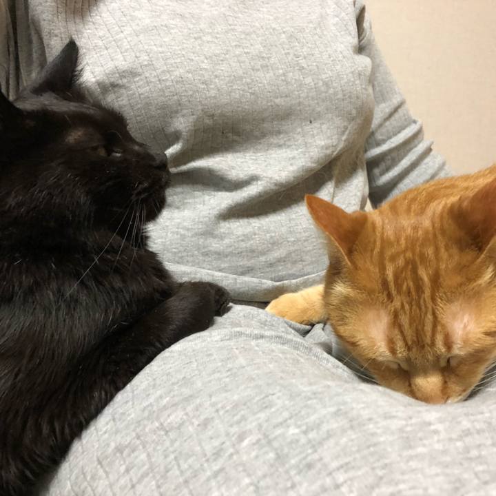 Ded00cf3 7fa1 49fd bb4a e104319afabd 1586609469033