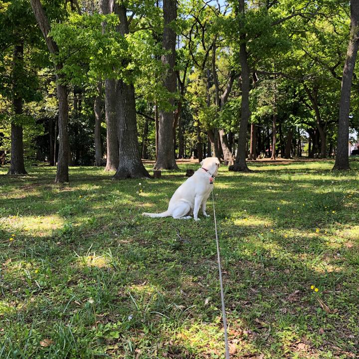 Ded02a4c 66fc 4c1b adb2 aeae8ed1974d 1618460641006