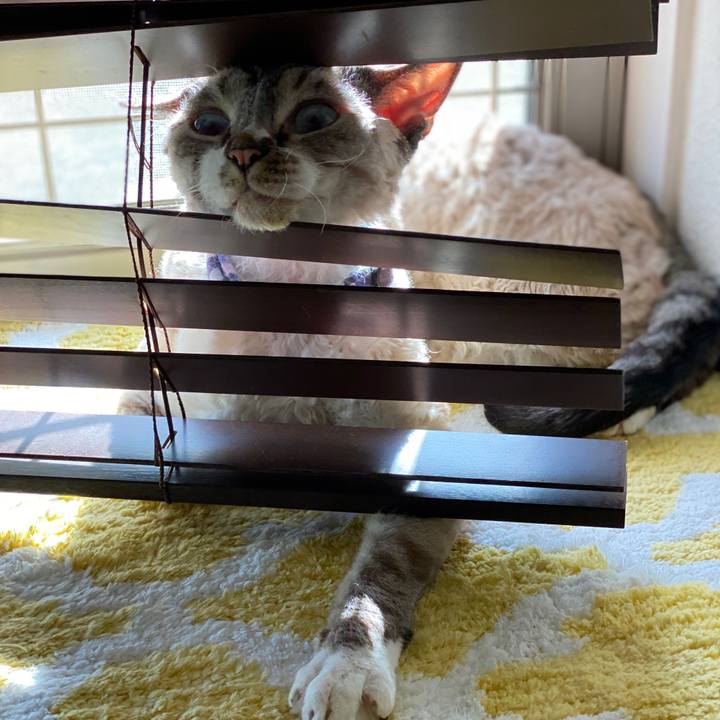 Ded0418b da4b 48b3 bfbf 479d04186c53 1659084626540