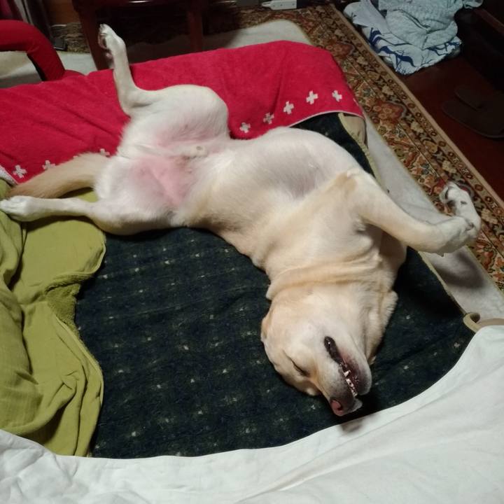 Ded0465a 3ee0 4153 bbfa 80d8cbfb724b 1604337542482