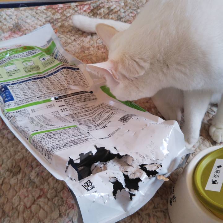 Ded062d9 36c5 4818 adb0 1c87e049972b 1542154880556