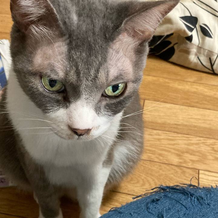 Ded08fc5 5db4 4029 8480 5882409ad276 1658622084837