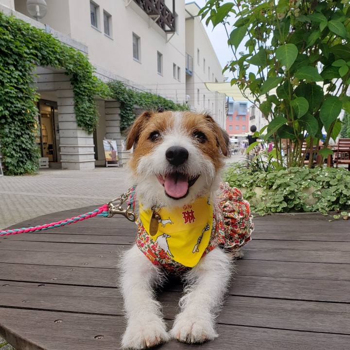 Ded095a5 db5b 4a72 8934 133849705c1e 1564821915016