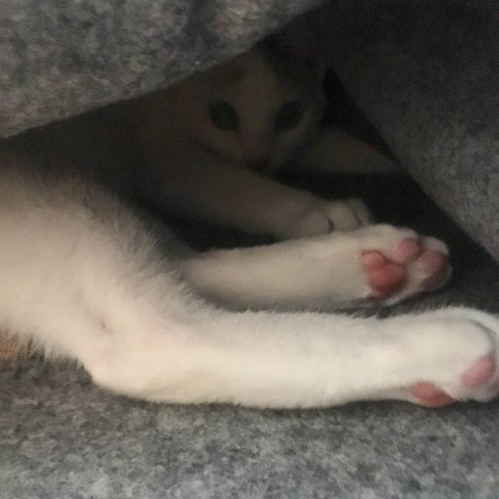 Ded0fc07 85d4 4637 a33b 0b14f5d446de 1515558014249