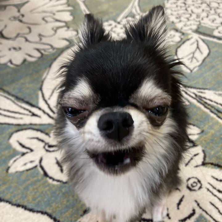 Ded10226 c98b 499f a76b b929bc51370b 1629602727796