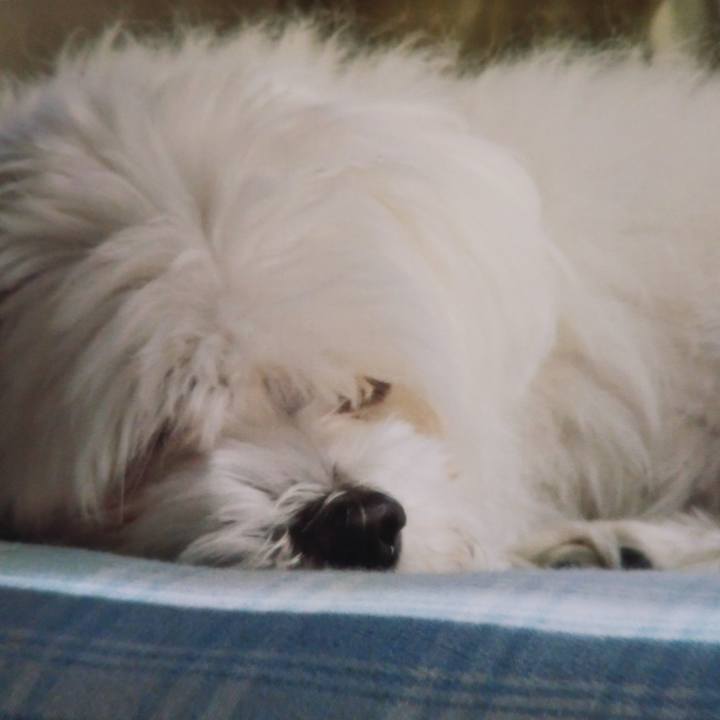 Ded12464 bf50 44aa b4af 8a7b9f7bfcd6 1529547466291