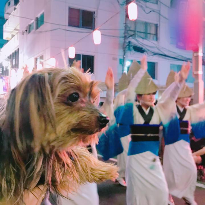 Ded12bc2 efd0 4052 93bf e7946b865a60 1533380500419