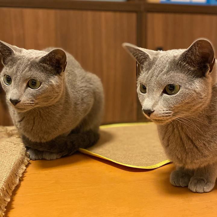 Ded137ca 6a66 4d7e b4ba 347f600ce510 1648421646583