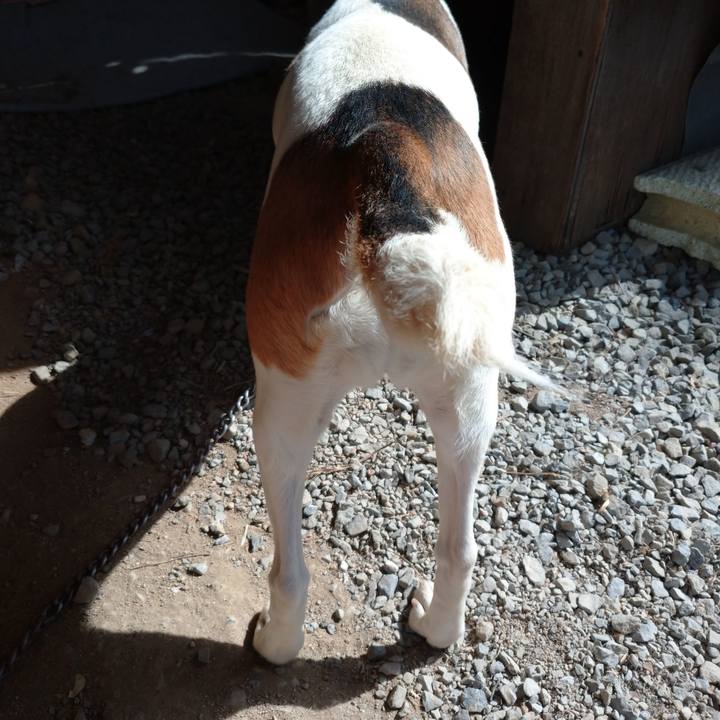 Ded146dc ded3 48b3 bb2c d4787b85a5c4 1617257977901