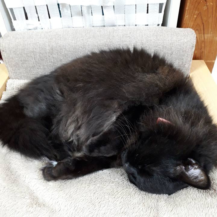 Ded18746 ffea 4045 8e2d a507684ee0c1 1520506379392