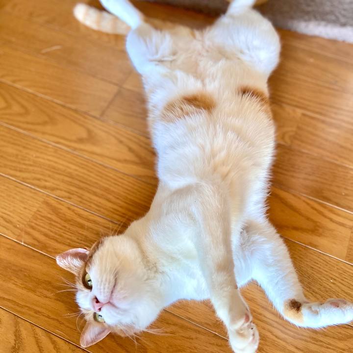 Ded1947d 19c9 4c19 b051 7c011b321b26 1598859330547