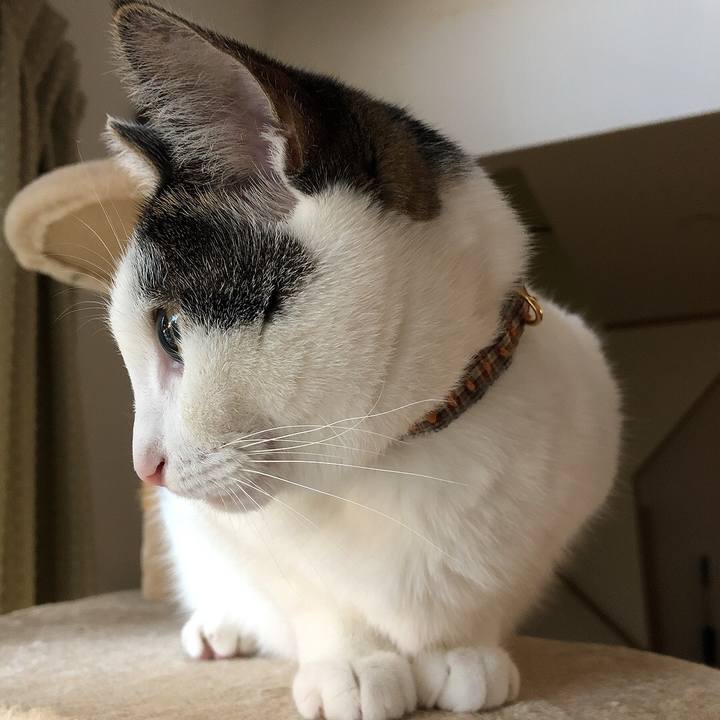 Ded1a025 4d7c 4792 8c72 f55823e6b273 1664055444079