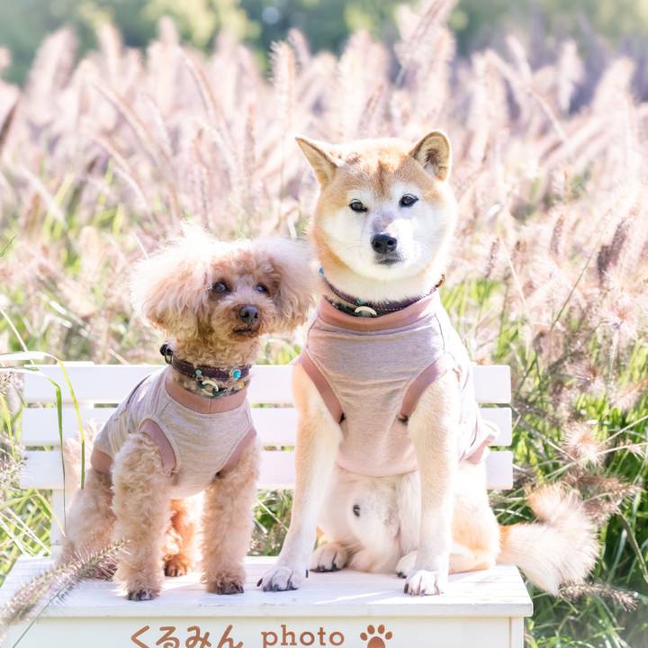 Ded1afa8 25a0 45b5 bb3f a6eef61b77b4 1607144389830