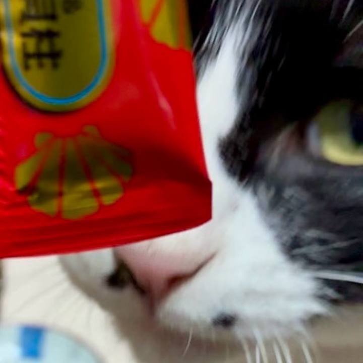 Ded1d12b 9a1c 4d83 b535 9211c59a9564 1749289829804